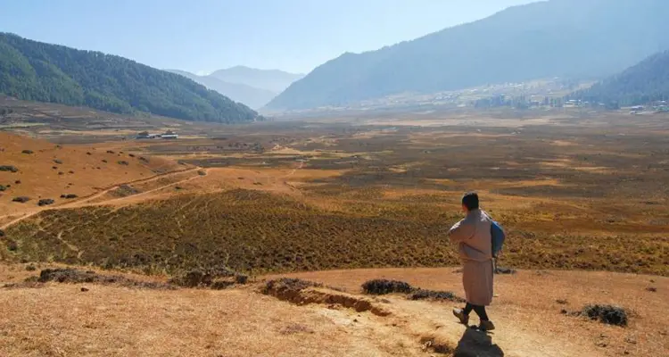 The ceremoney in Gangtey Goemba