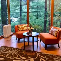 the hotel room with the view of the forest