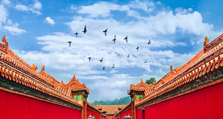 alley of the Forbidden City