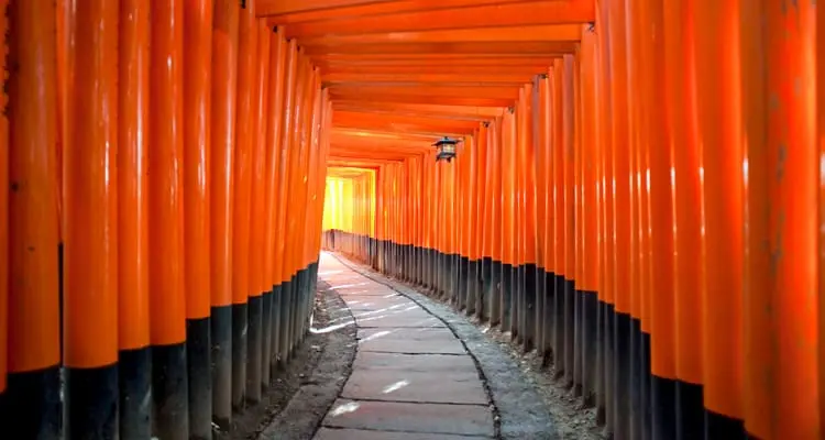 Torii gates of Fushimi Inari Shrine